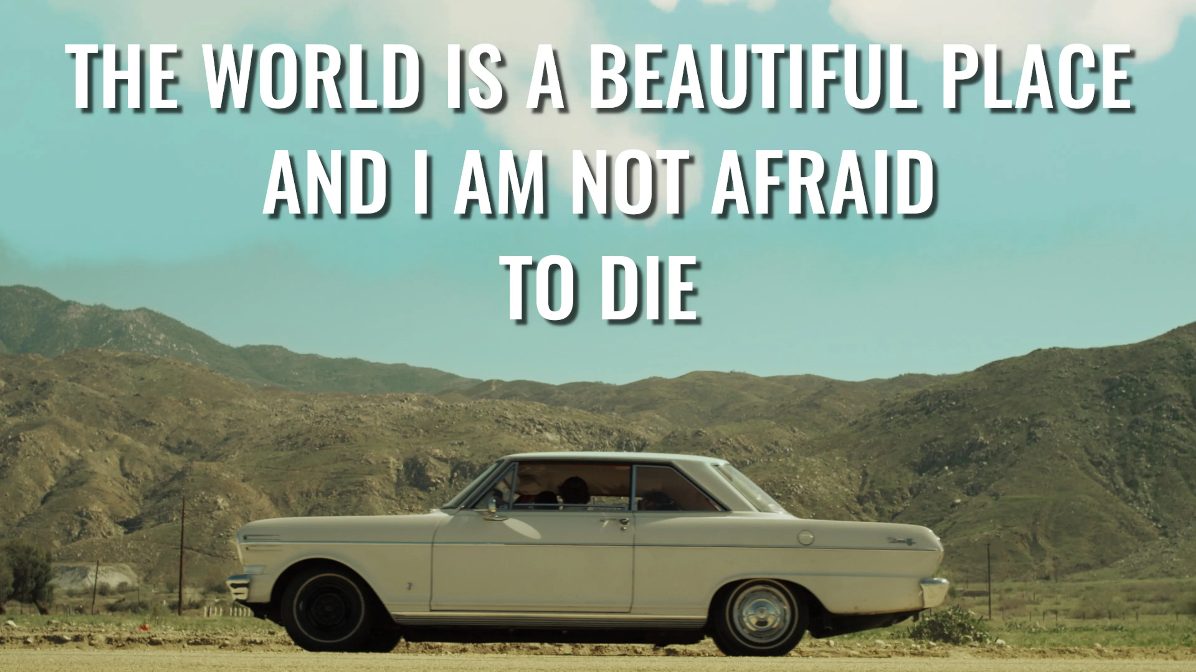 The World is a Beautiful Place and I Am Not Afraid to Die poster